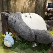 pumpkinの画像