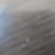ラック