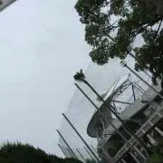 ぽんの画像