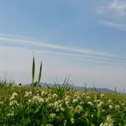 Ca-ma