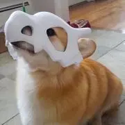 さつき