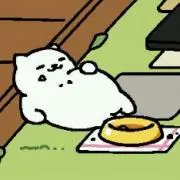りこの画像