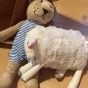さえの画像