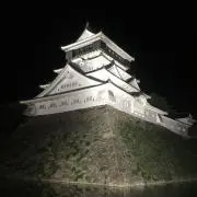 まめ助の画像