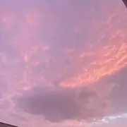みょんしょこ૮ ·͈༝·͈აの画像