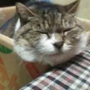taketake