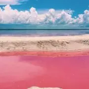 ピーチの画像