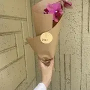yaasuの画像