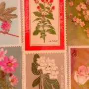花みずき