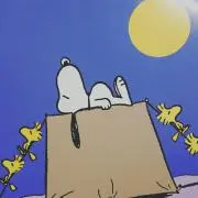 さと☆☆☆の画像