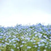 そうの画像