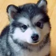nao