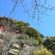芥河の画像