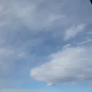 いの画像