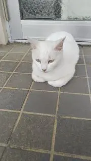 短足おじ三☆の画像
