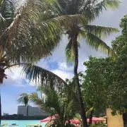 posani