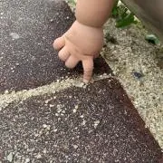 ぷに