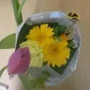 みやちの画像