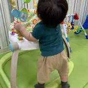 くまぴよの画像