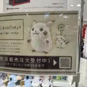 ピザの画像