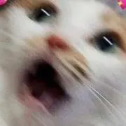 藤岡