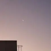 なし☆彡の画像