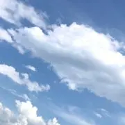 Rの画像