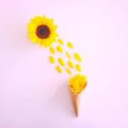 もかの画像
