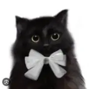 Jの画像