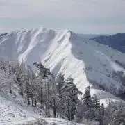 テースフル香椎102