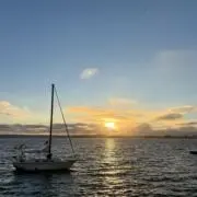 Ponの画像