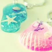 ポロの画像