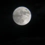 プーさん。