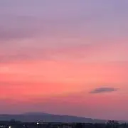 りーたんの画像