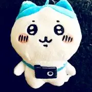 モトの画像