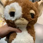 ひょんた