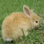 ともここの画像