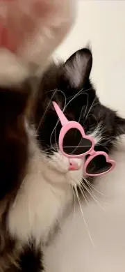 ®️ u u