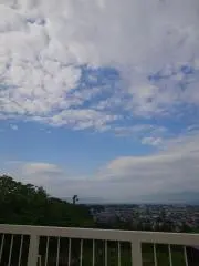 めめの画像