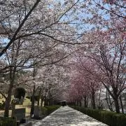 メイランド要プロフご一読☆商品入替セールの画像