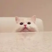 あーさんの画像