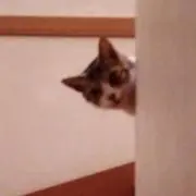 EMI