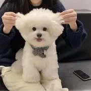 suu.の画像