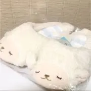 あるぱか