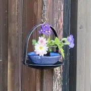 たまごの画像