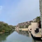 とうふの画像