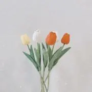 hanaoto ✽の画像