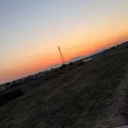 わぁぁいの画像