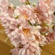 ⭐︎やふひわ⭐︎即購入OK