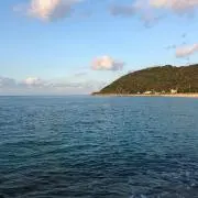 ちこ